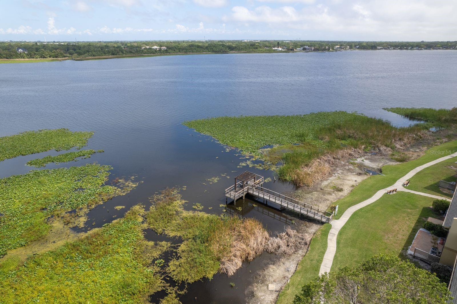 12293 SAILWINDS DR #206, LARGO, FL, 33773