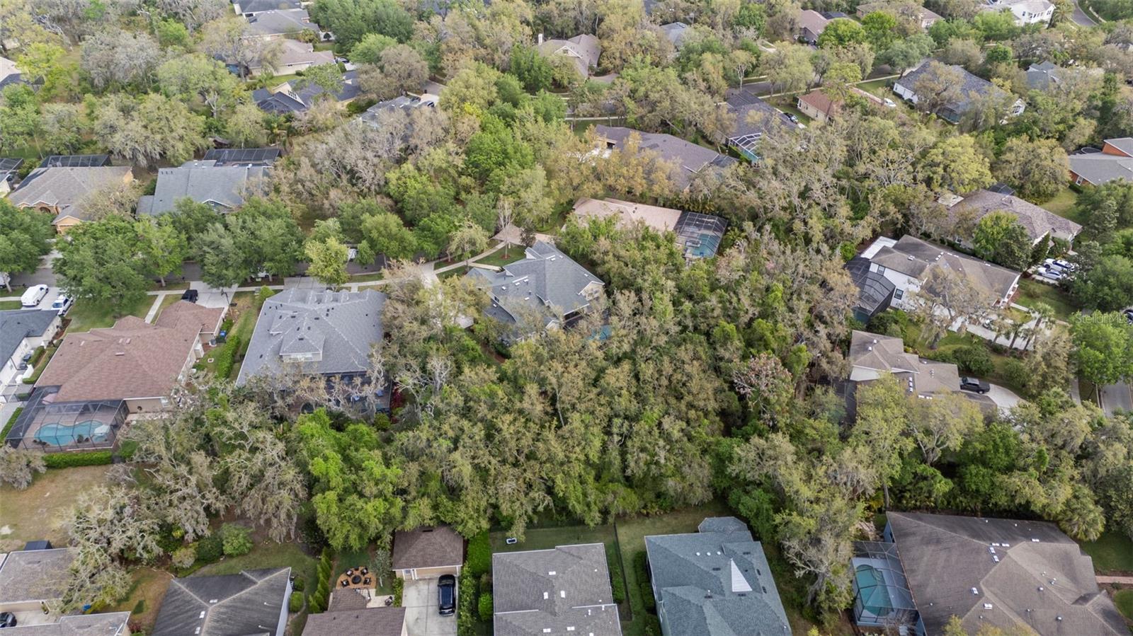 5806 TERNCREST DR, LITHIA, FL, 33547