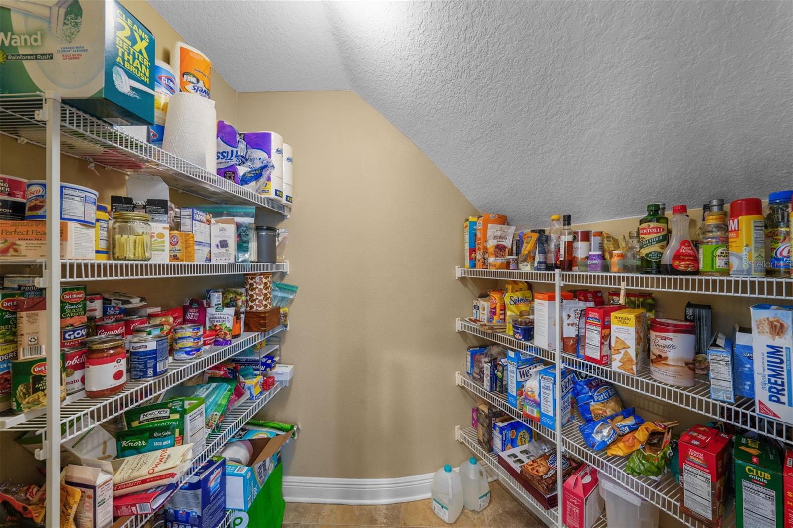 5806 TERNCREST DR, LITHIA, FL, 33547