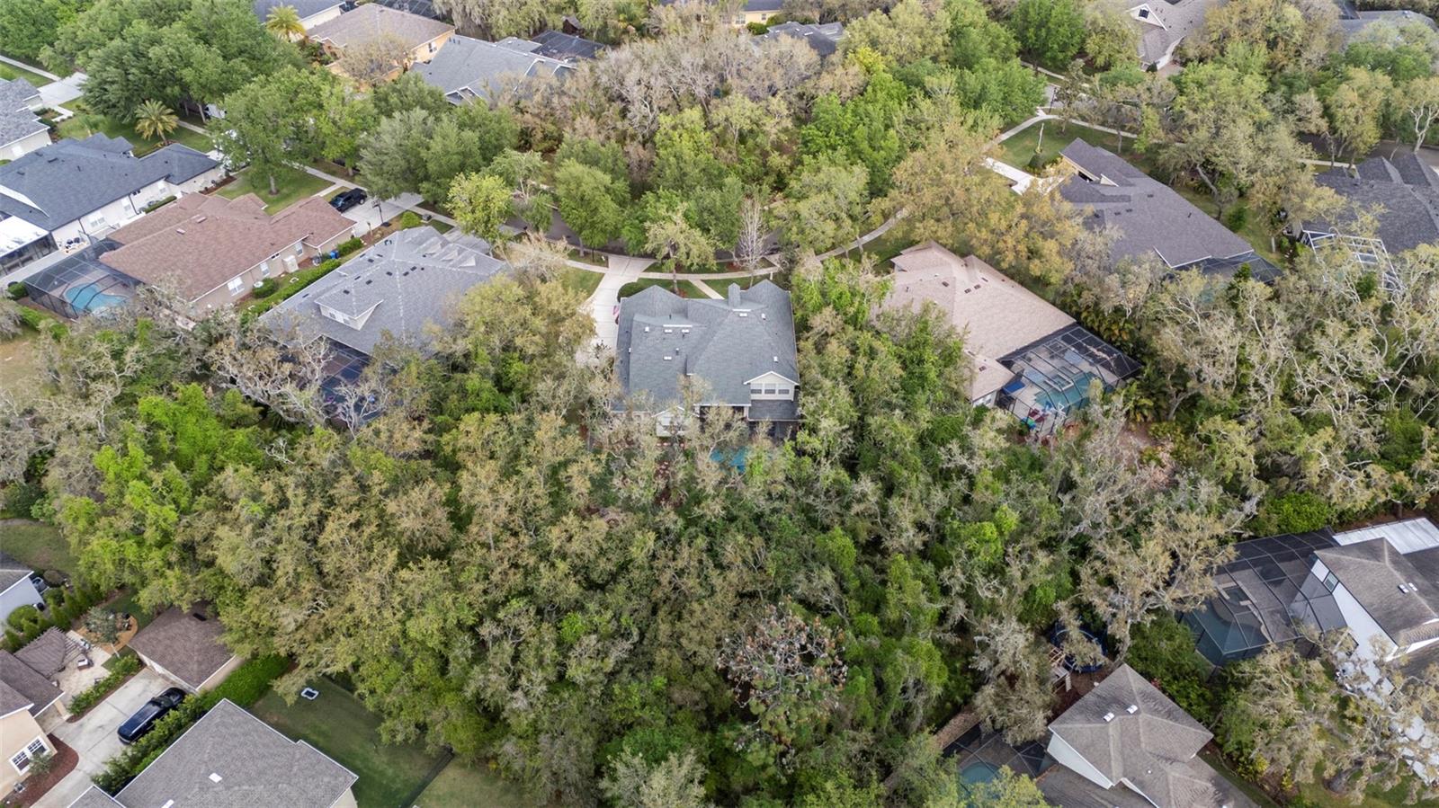 5806 TERNCREST DR, LITHIA, FL, 33547