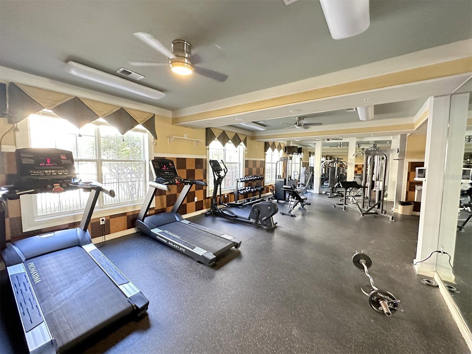 4221 W SPRUCE ST #2329, TAMPA, FL, 33607