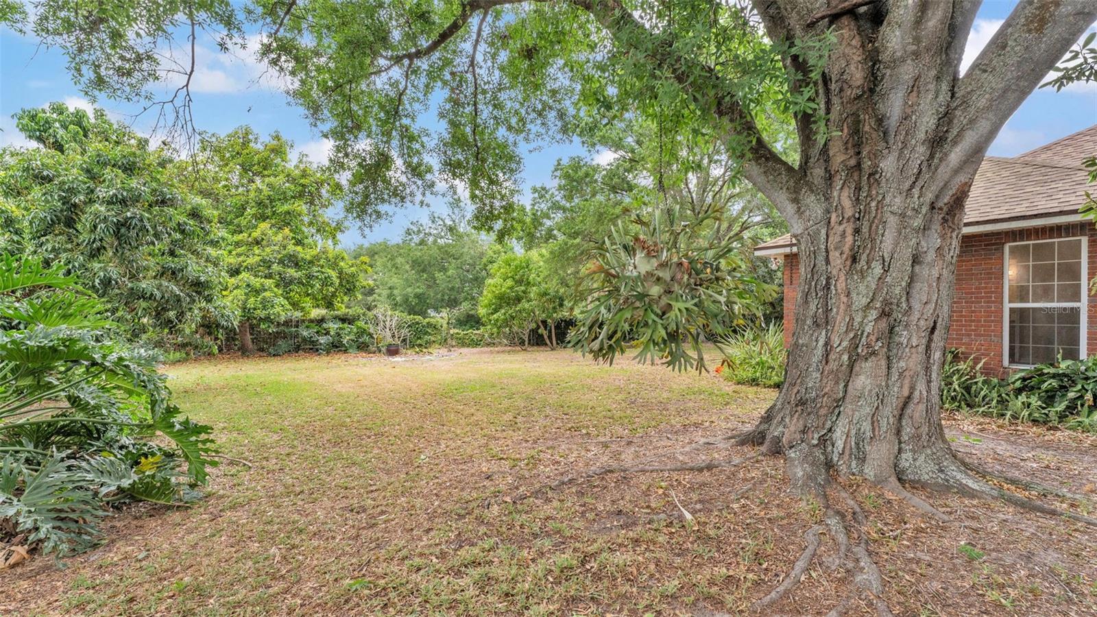 1205 SCOTTSLAND DR, LAKELAND, FL, 33813