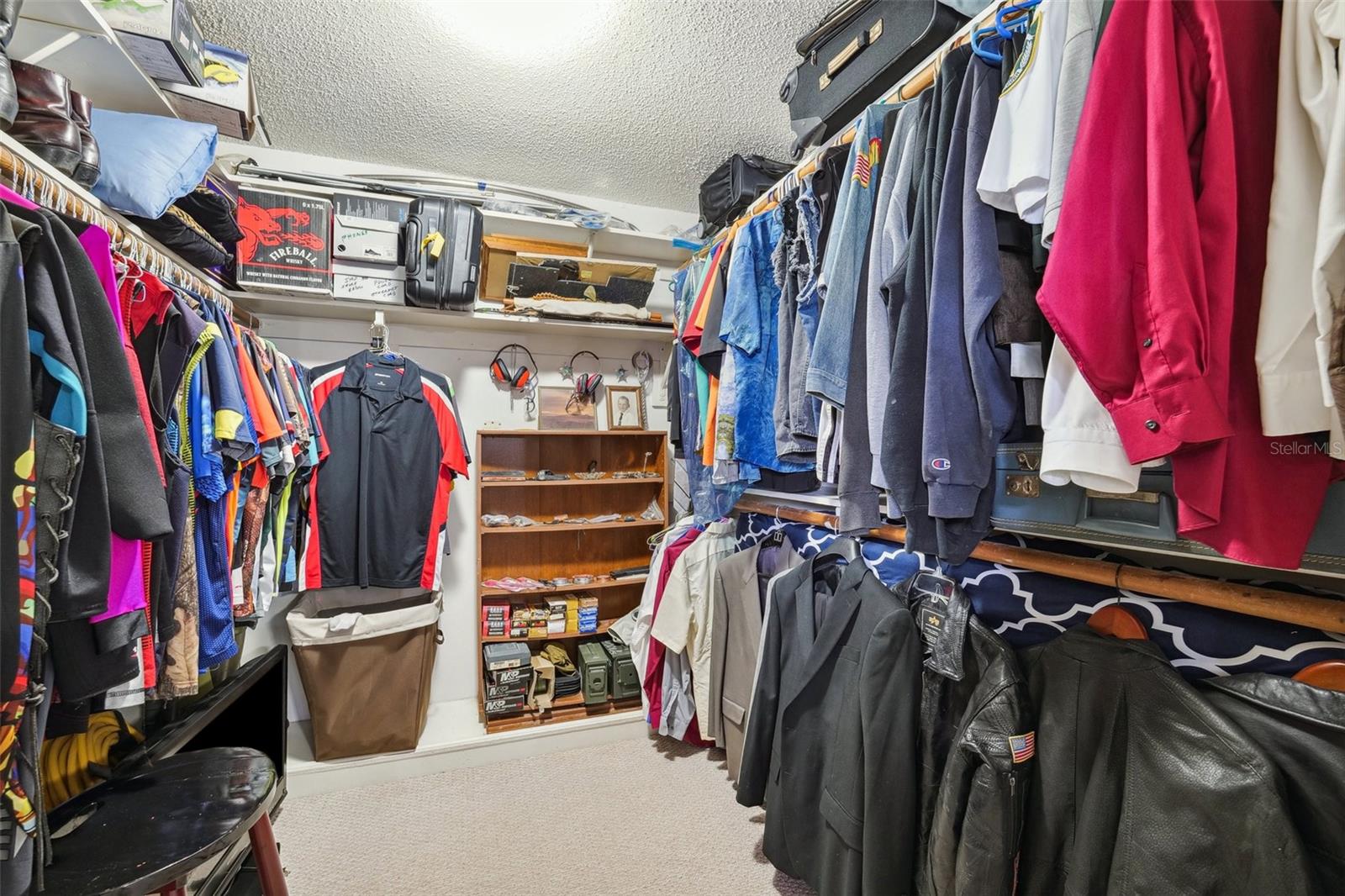 17301 ESTES RD, LUTZ, FL, 33548