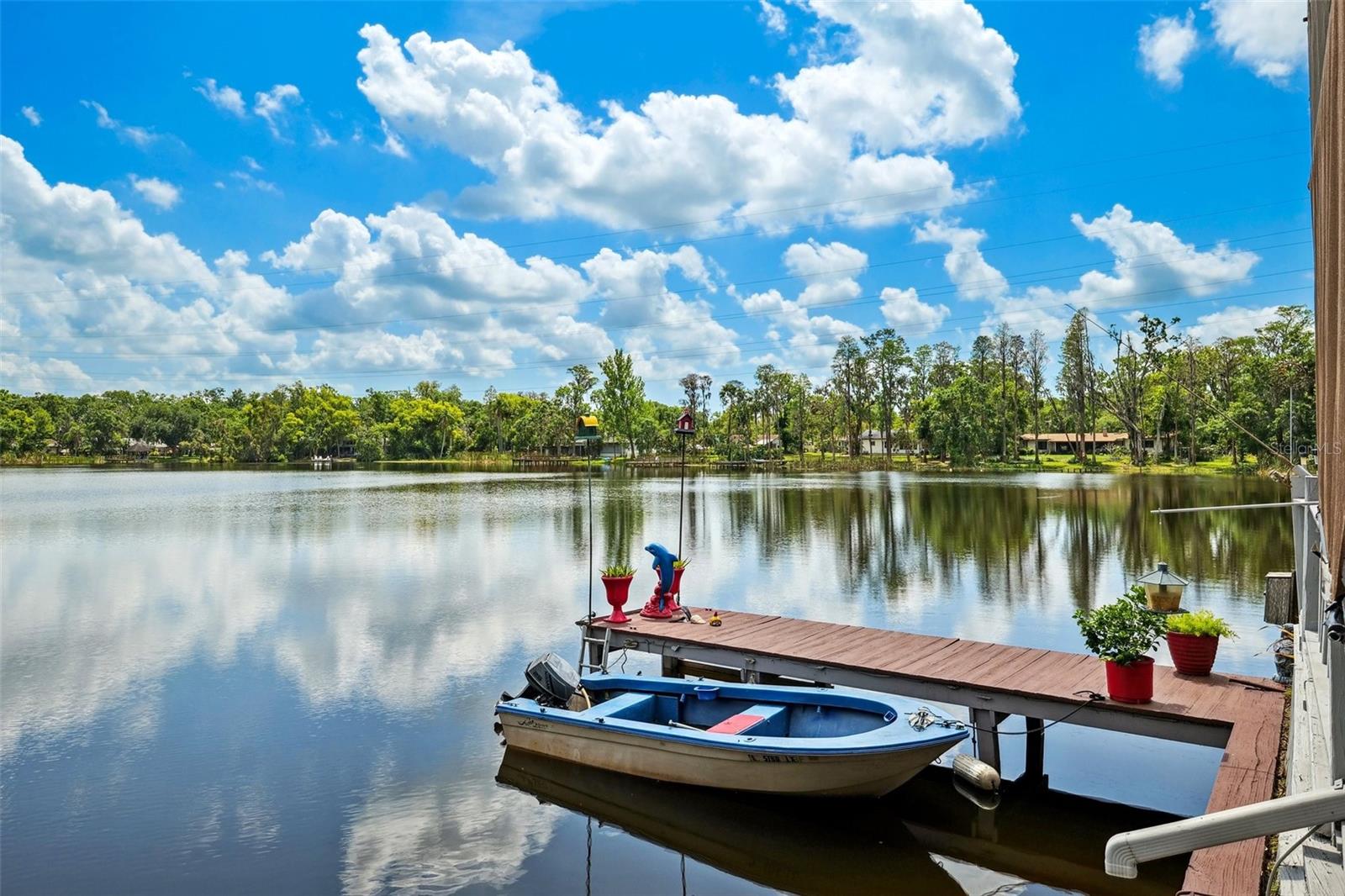 17301 ESTES RD, LUTZ, FL, 33548