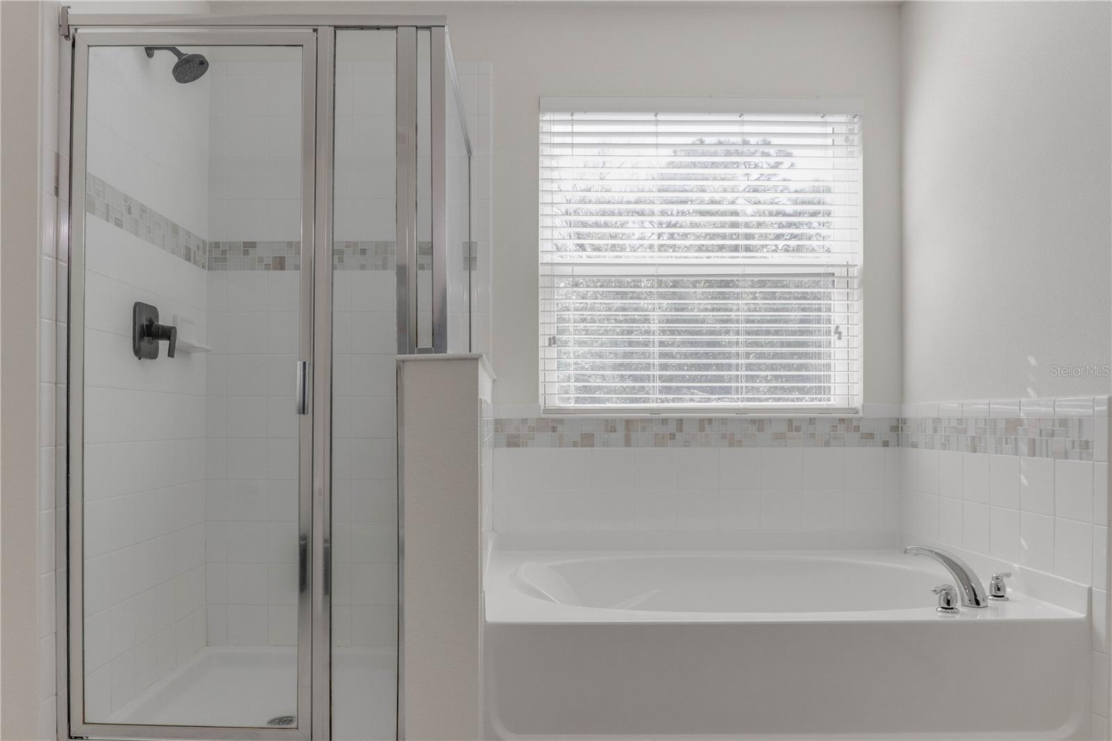 4718 BLUE DIAMOND ST, KISSIMMEE, FL, 34746