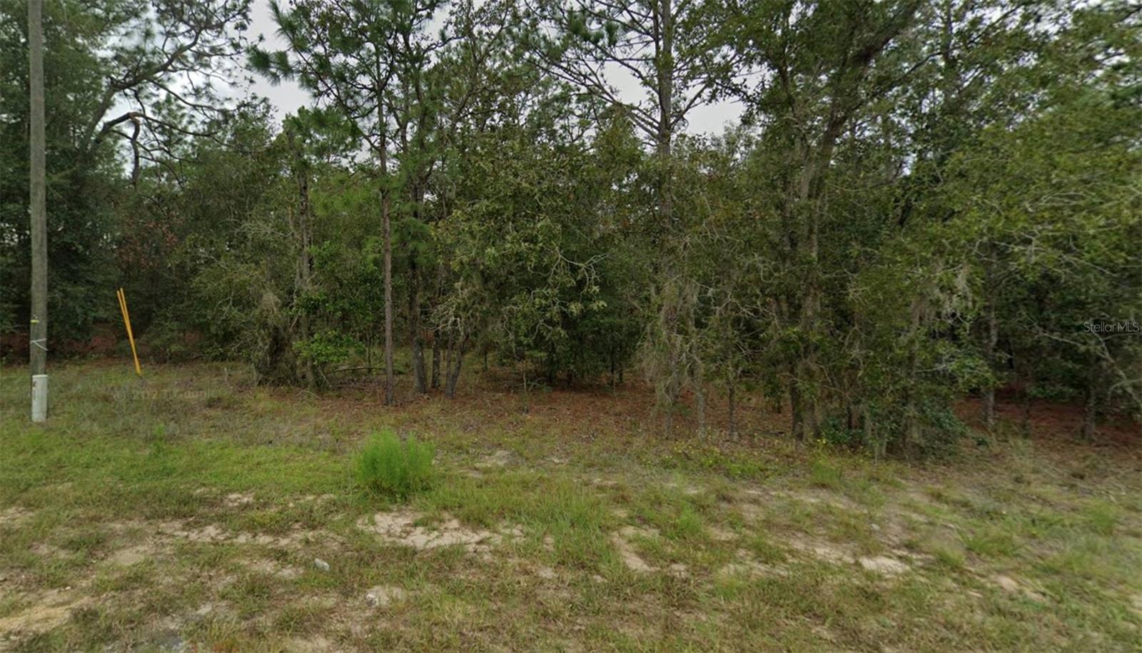 NE 154TH AVE #64, WILLISTON, FL, 32696