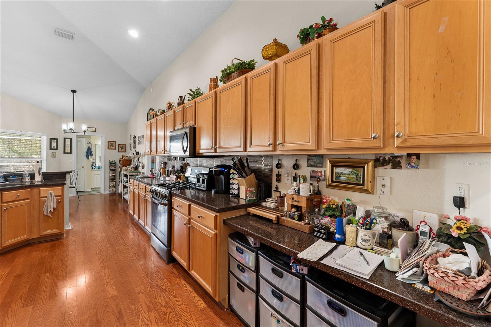 4605 KILCOYNE CT, LUTZ, FL, 33558