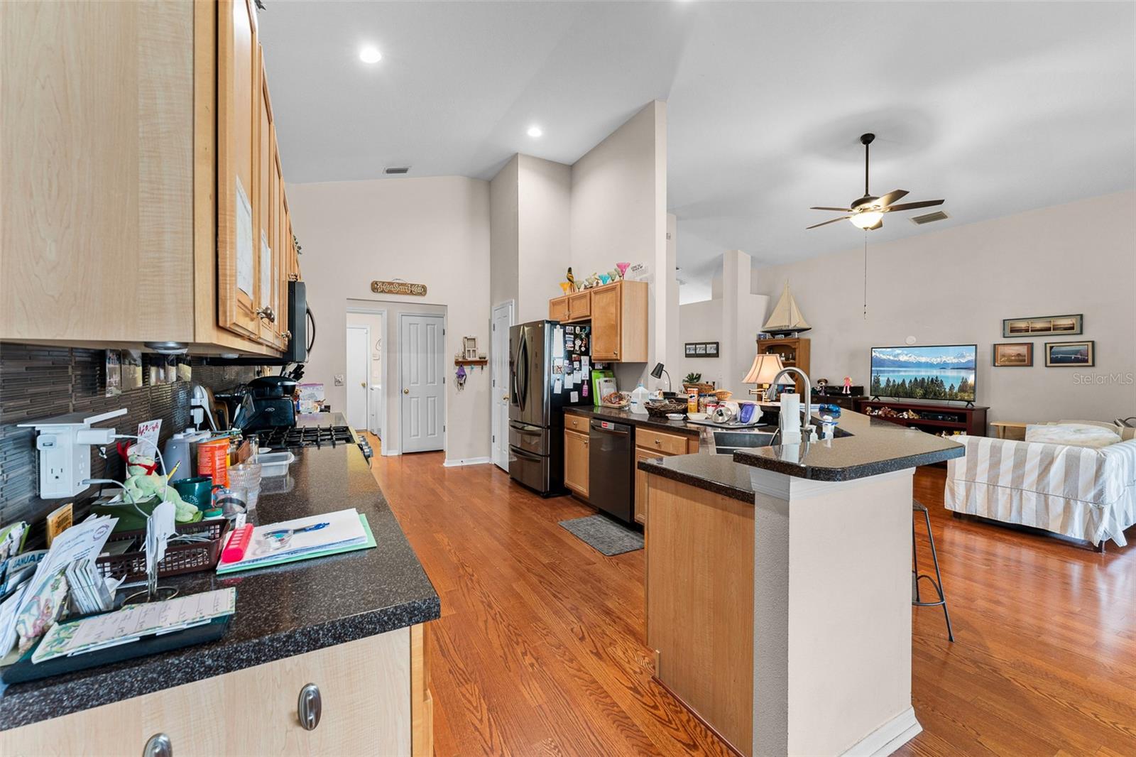 4605 KILCOYNE CT, LUTZ, FL, 33558