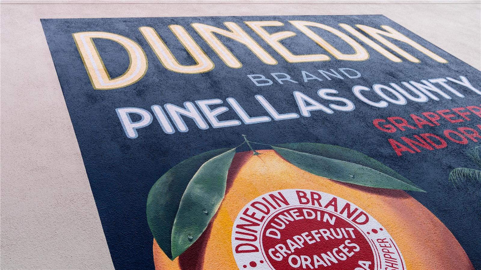 600 RESERVE LN, DUNEDIN, FL, 34698