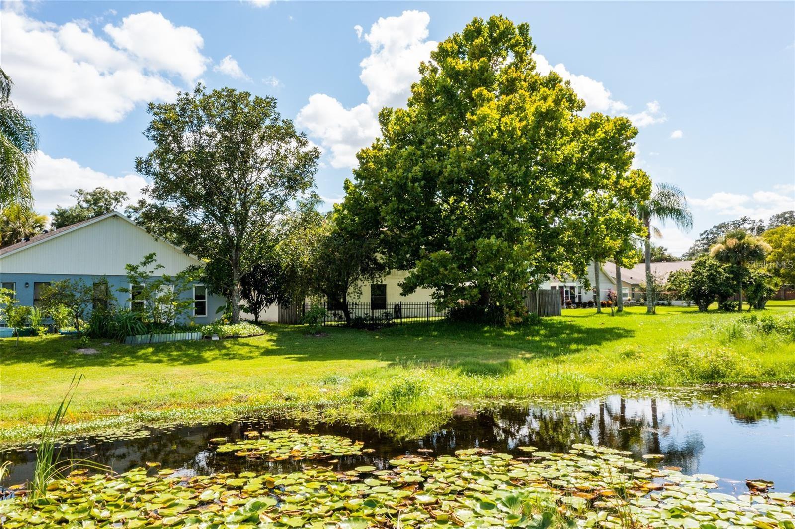2371 PIEDMONT LAKES BLVD, APOPKA, FL, 32703