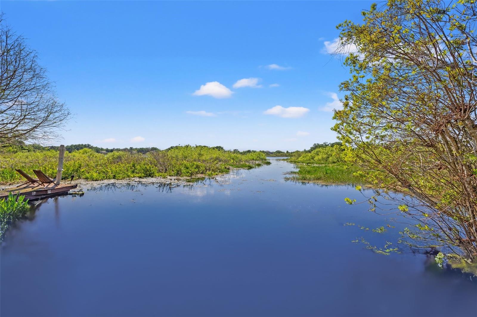 19924 DOLORES ANN CT, LUTZ, FL, 33549