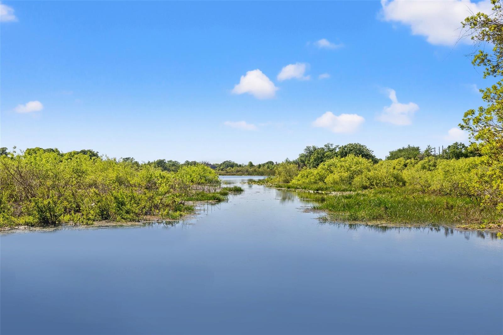 19924 DOLORES ANN CT, LUTZ, FL, 33549