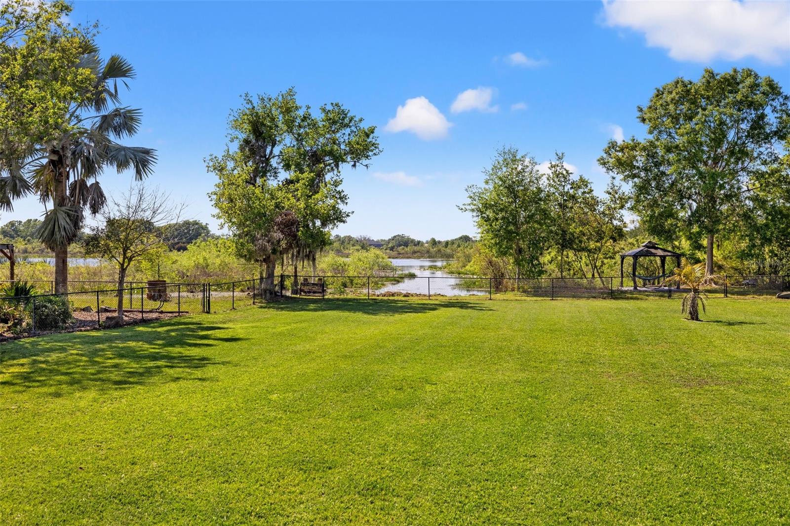 19924 DOLORES ANN CT, LUTZ, FL, 33549