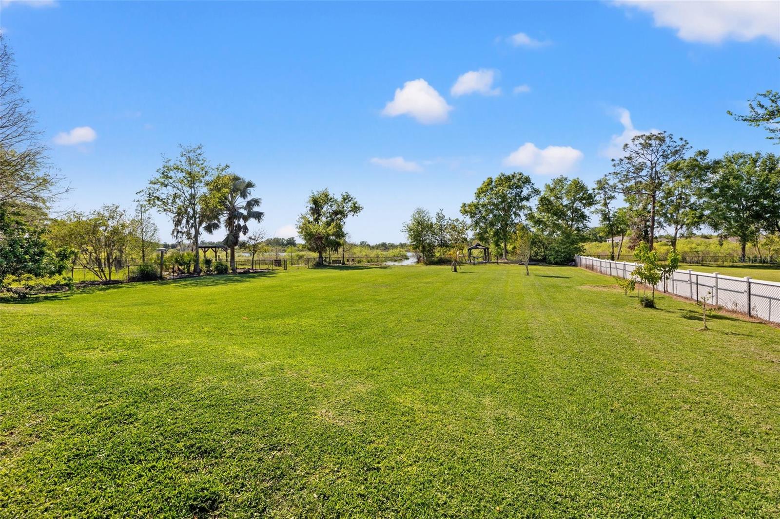 19924 DOLORES ANN CT, LUTZ, FL, 33549