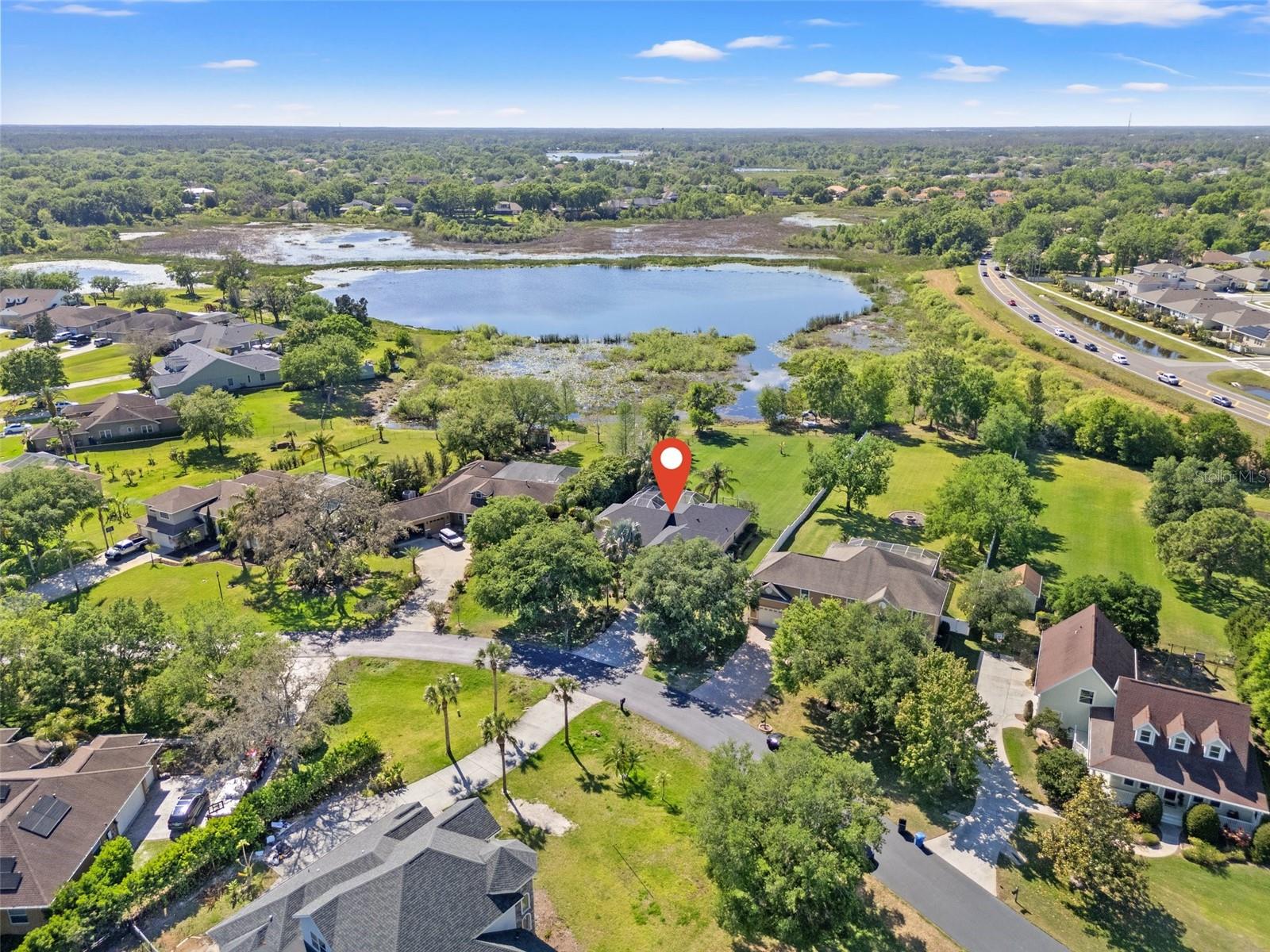 19924 DOLORES ANN CT, LUTZ, FL, 33549