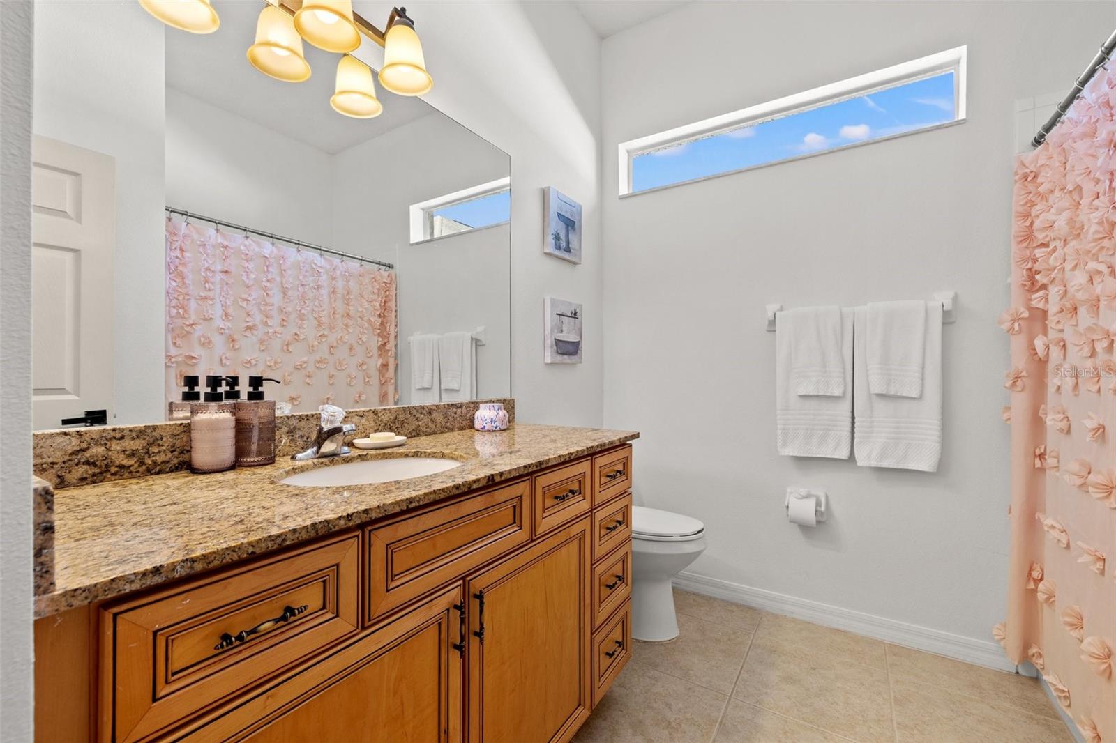 19924 DOLORES ANN CT, LUTZ, FL, 33549