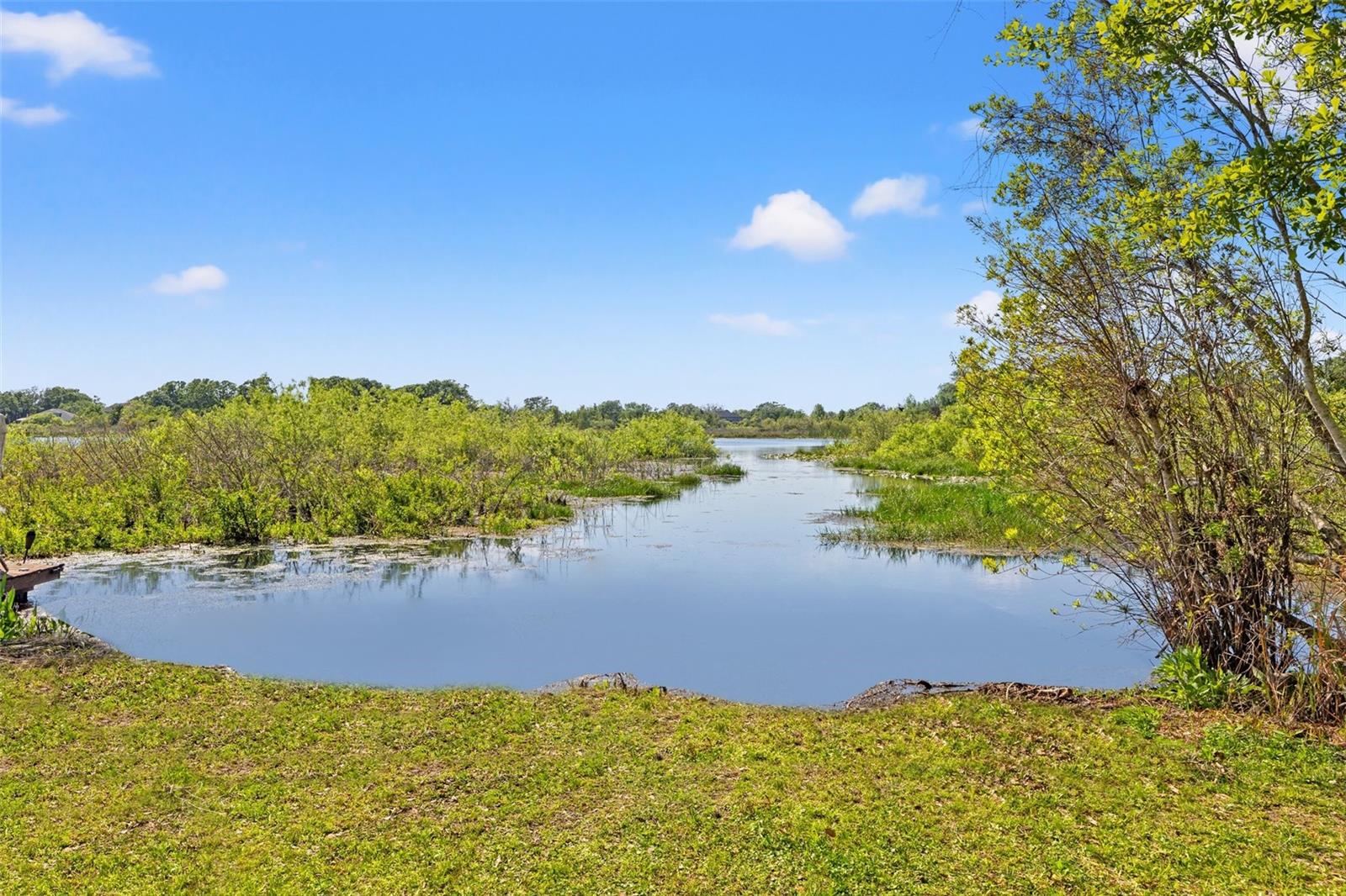19924 DOLORES ANN CT, LUTZ, FL, 33549