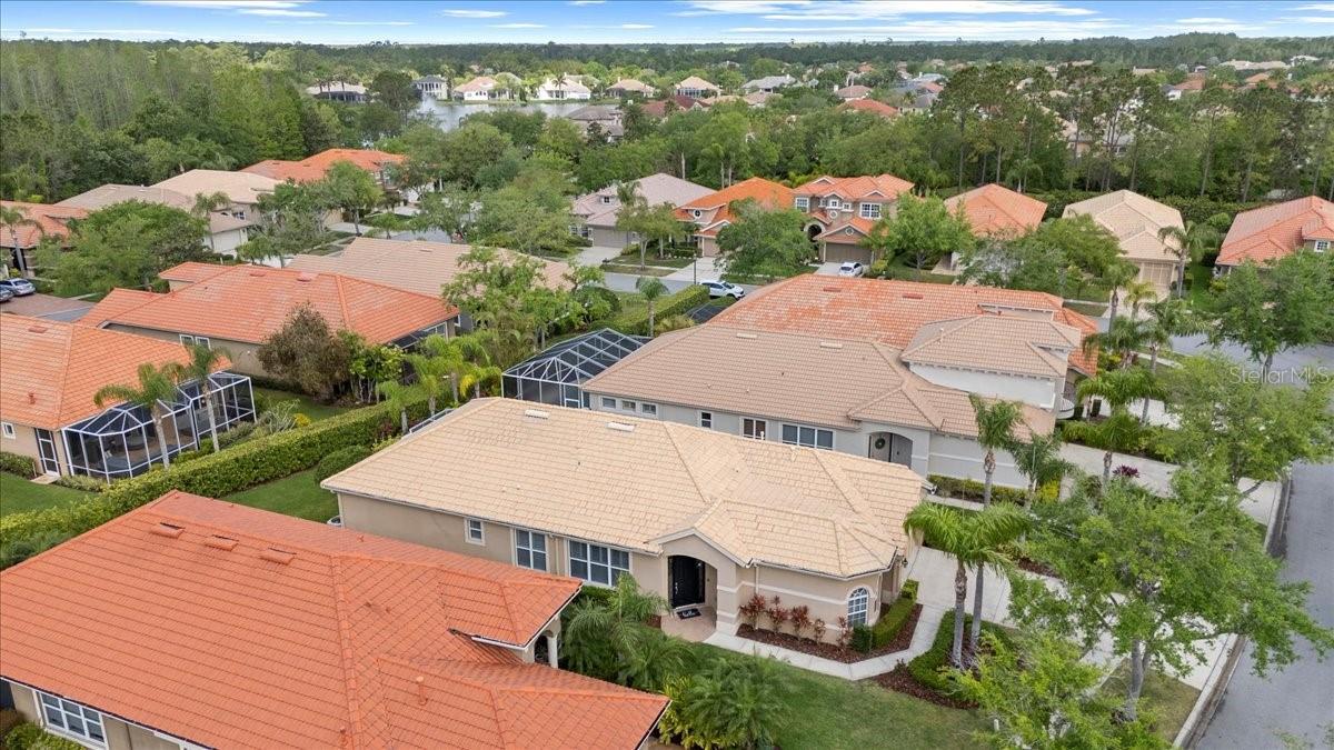 14521 MIRASOL MANOR CT, TAMPA, FL, 33626