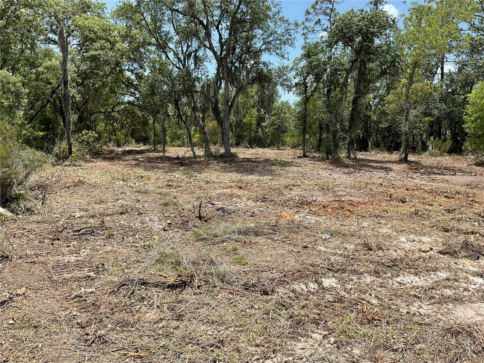 tbd NE 69TH ST, WILLISTON, FL, 32696