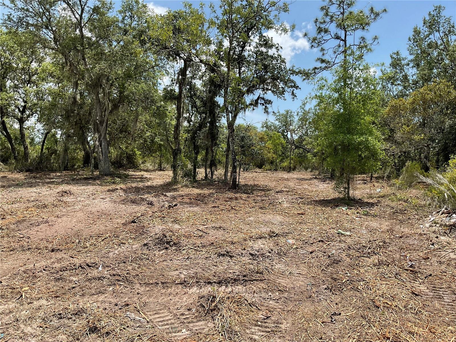tbd NE 69TH ST, WILLISTON, FL, 32696