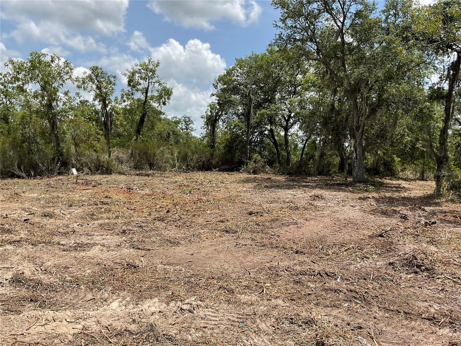 tbd NE 69TH ST, WILLISTON, FL, 32696