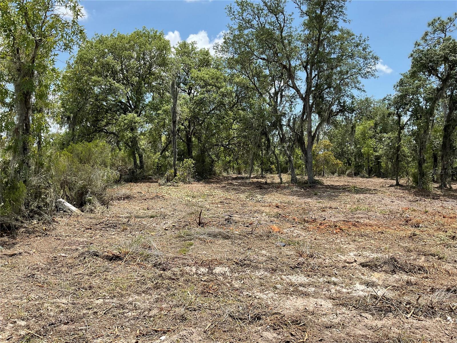 tbd NE 69TH ST, WILLISTON, FL, 32696