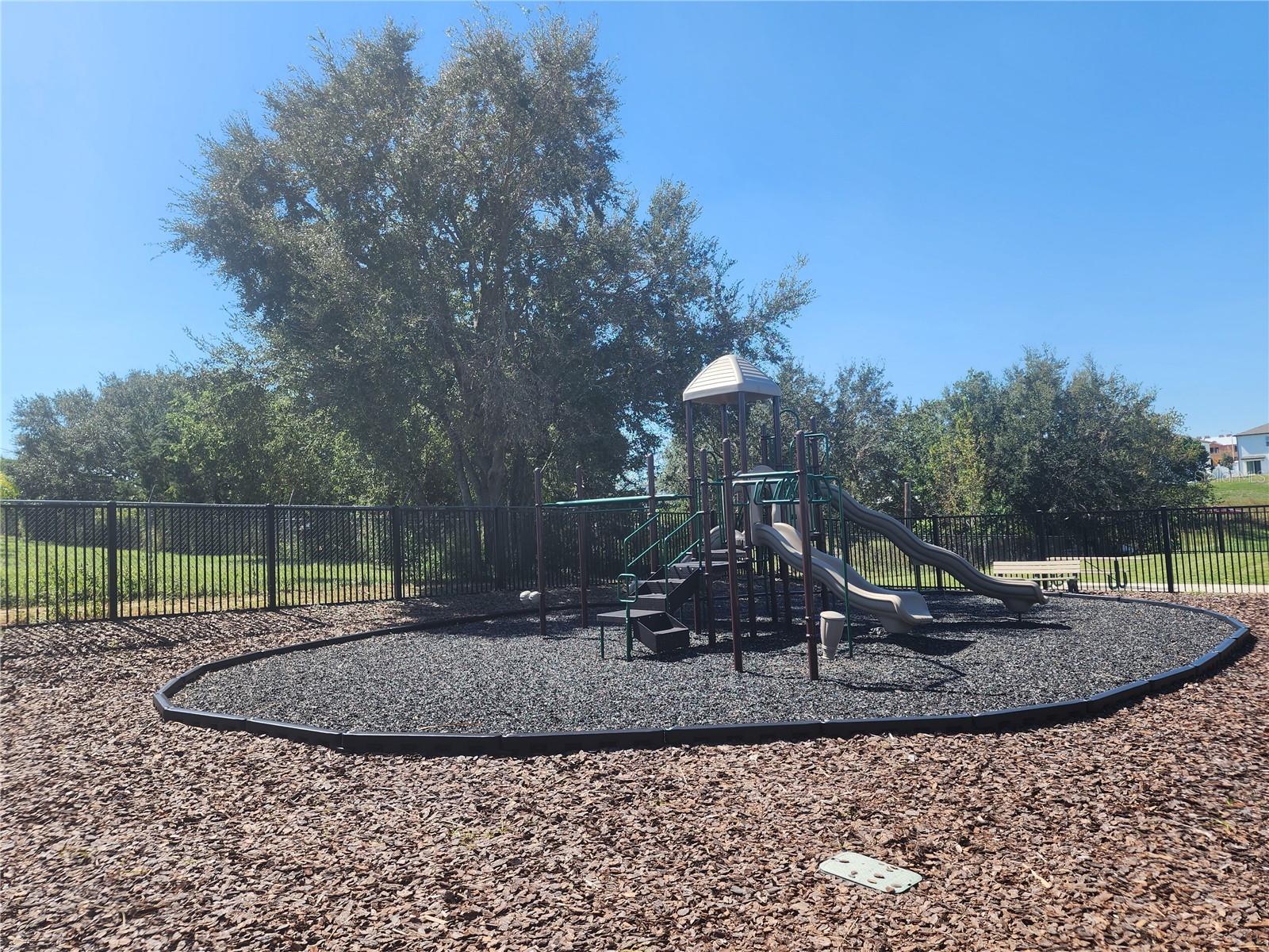 811 GRANDIN ST, DAVENPORT, FL, 33837