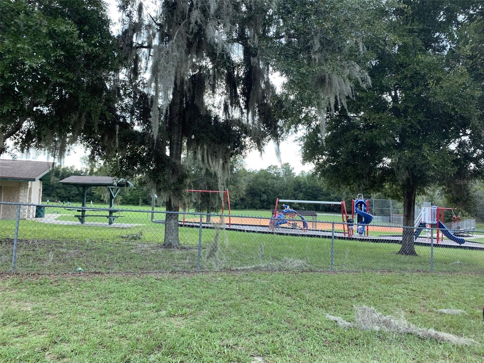 10060 N CARVER DR, CITRUS SPRINGS, FL, 34434