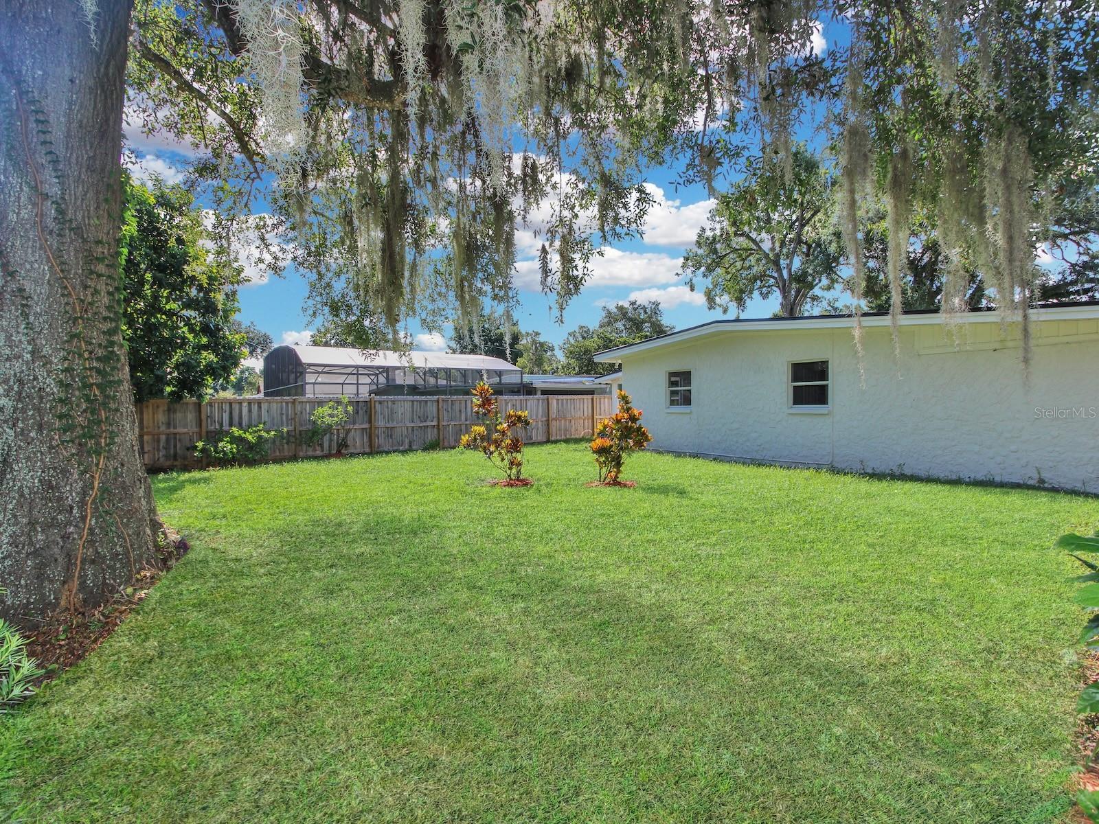 913 BUCKWOOD DR, ORLANDO, FL, 32806