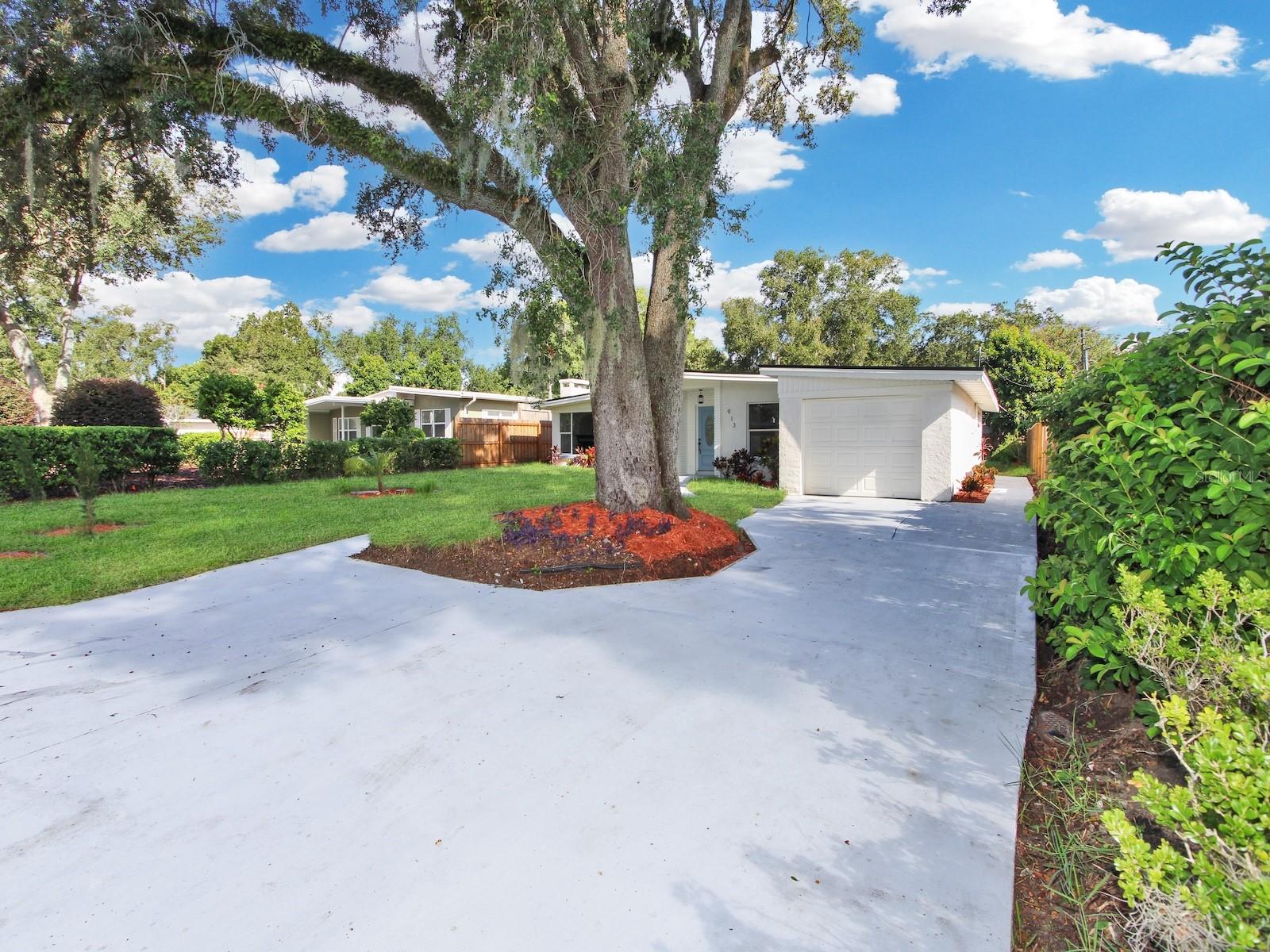 913 BUCKWOOD DR, ORLANDO, FL, 32806