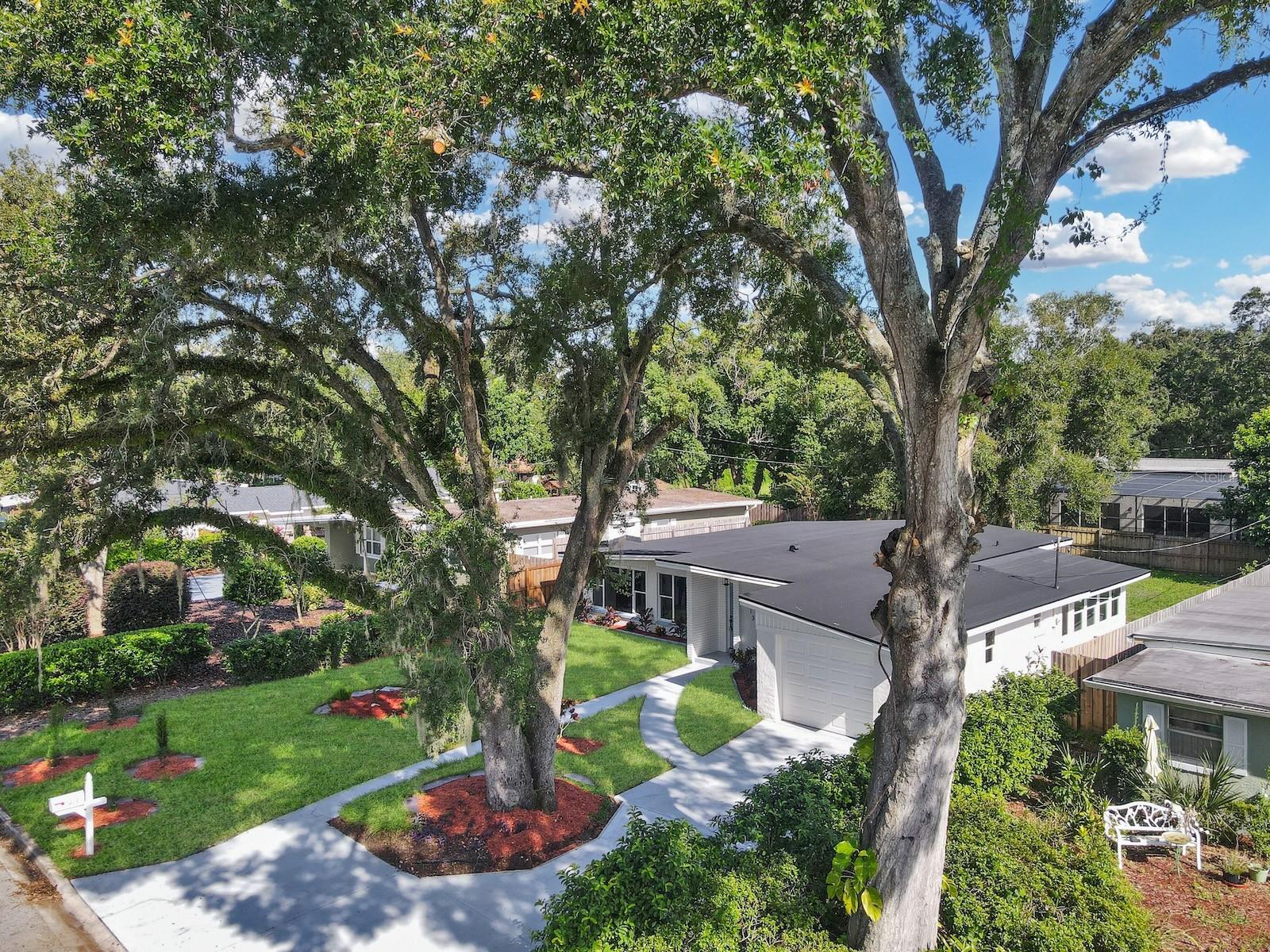 913 BUCKWOOD DR, ORLANDO, FL, 32806