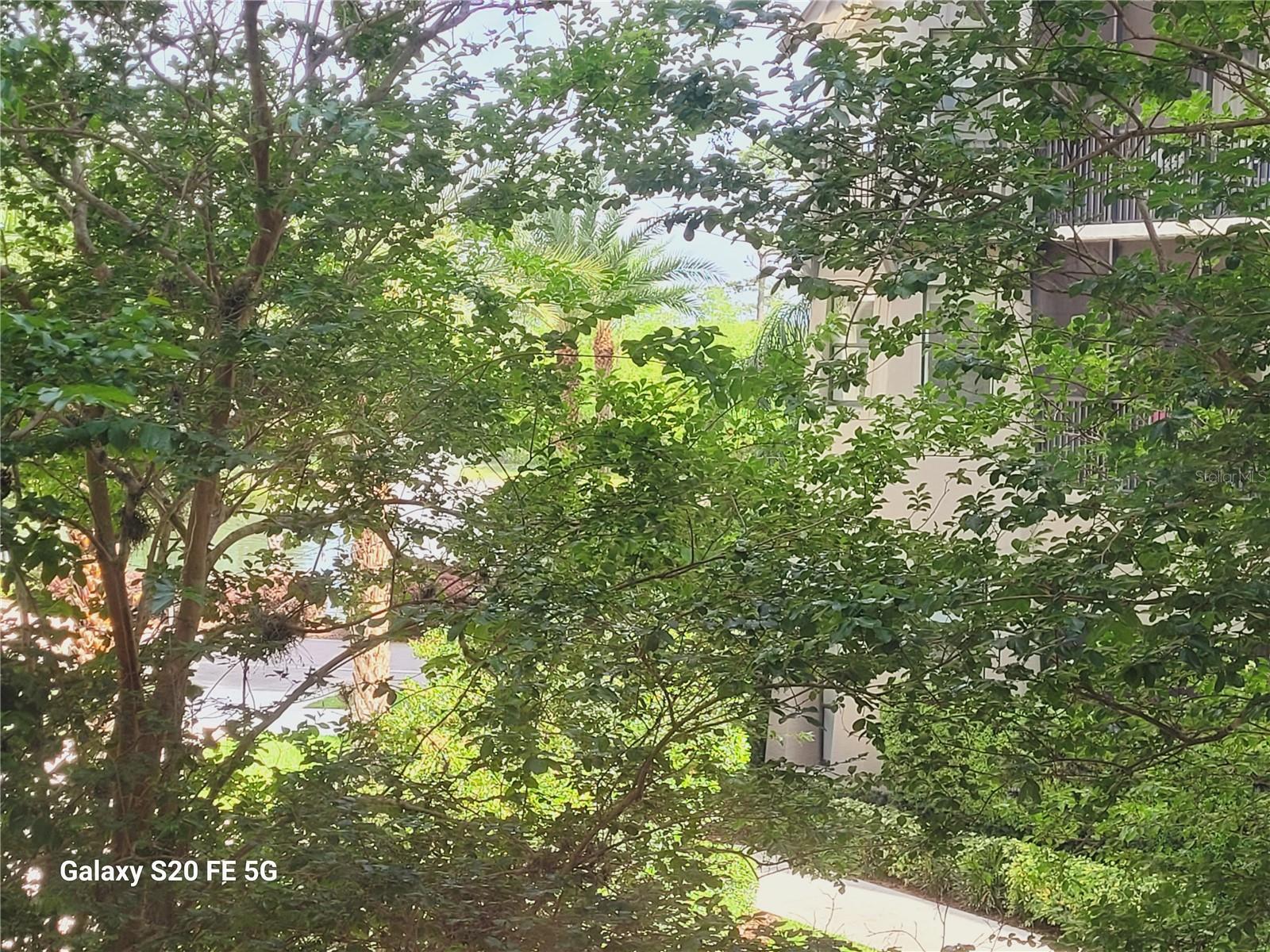 14501 GROVE RESORT AVE #1201, WINTER GARDEN, FL, 34787