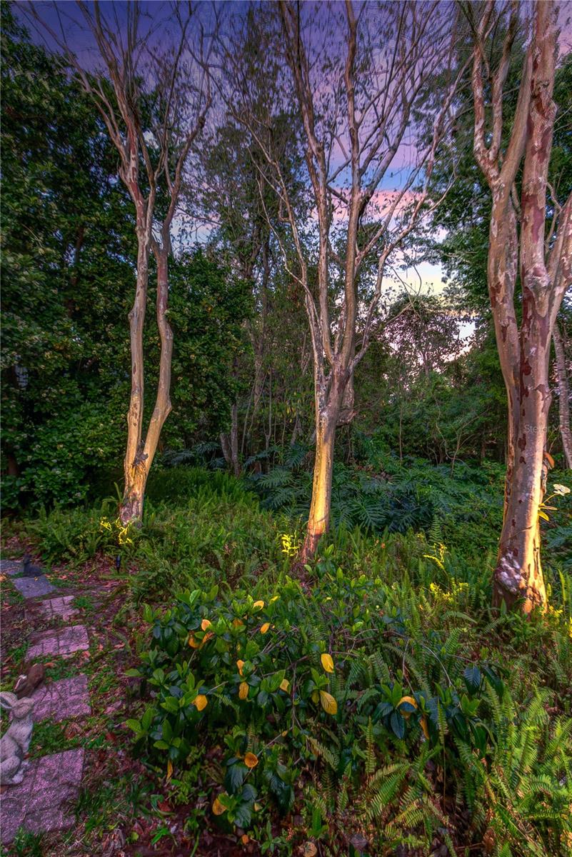 320 REMINGTON DR, OVIEDO, FL, 32765