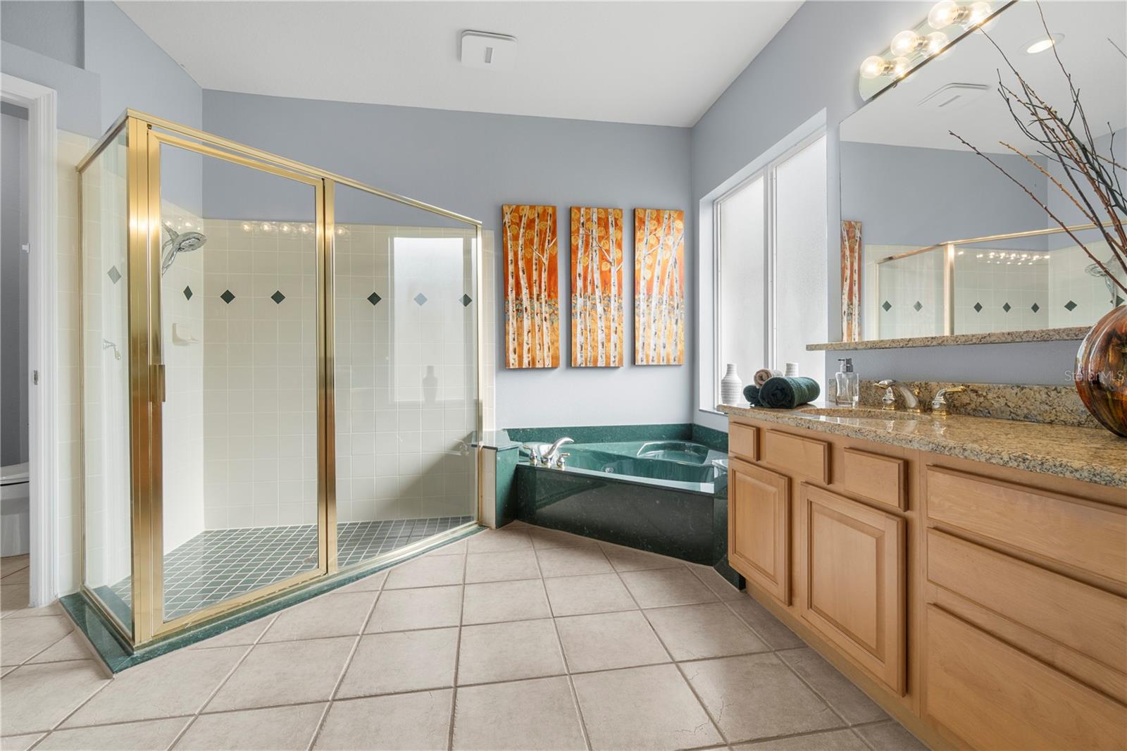 3852 BRANTLEY PLACE CIR, APOPKA, FL, 32703