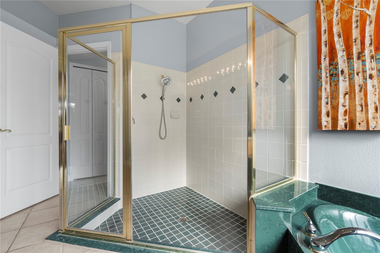 3852 BRANTLEY PLACE CIR, APOPKA, FL, 32703