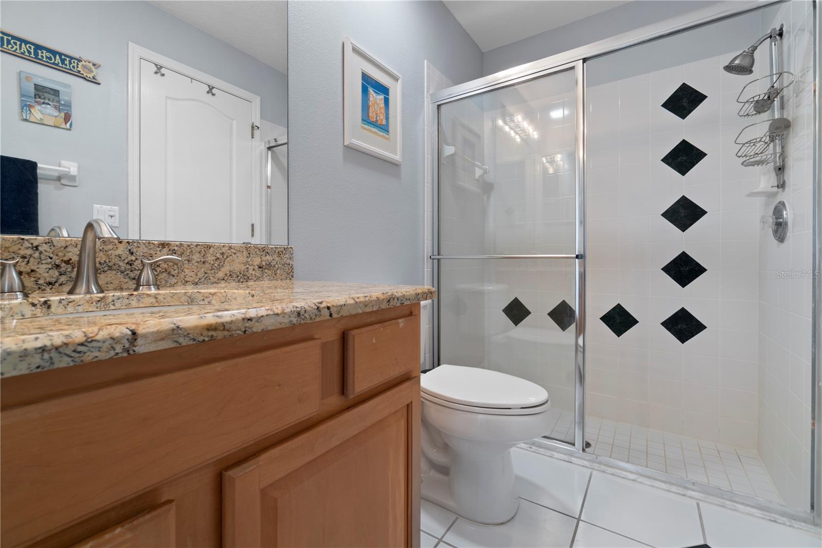 3852 BRANTLEY PLACE CIR, APOPKA, FL, 32703