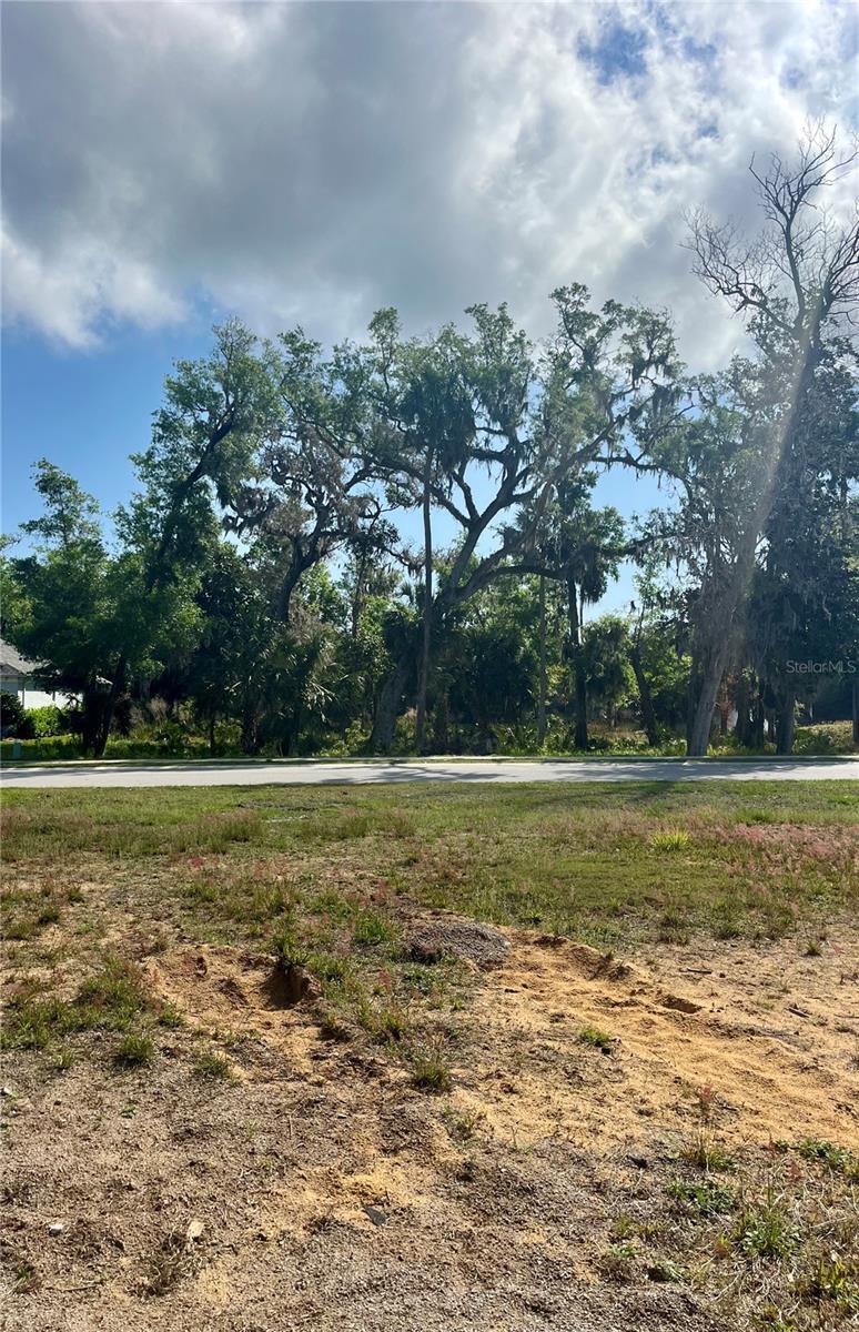 3138 SILVERMINES AVE, ORMOND BEACH, FL, 32174