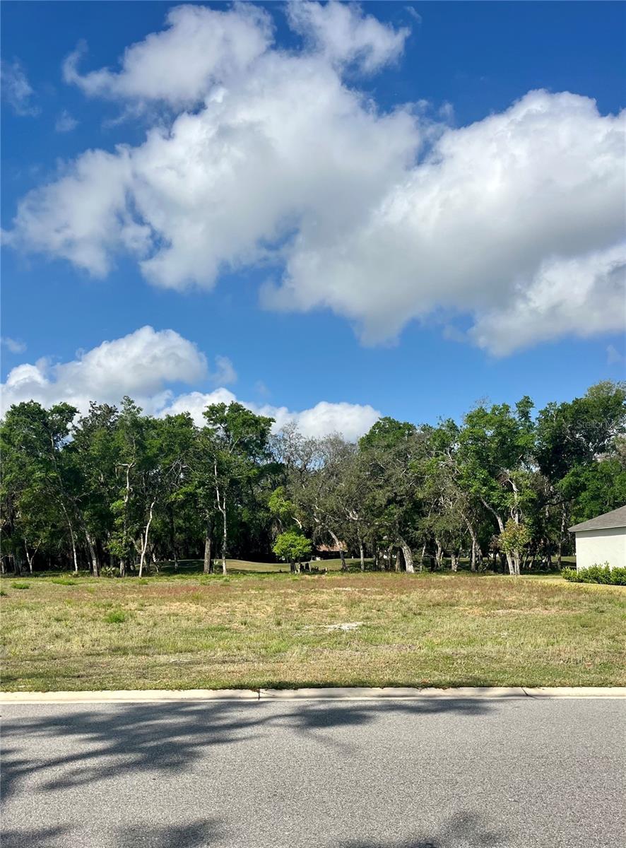 3138 SILVERMINES AVE, ORMOND BEACH, FL, 32174