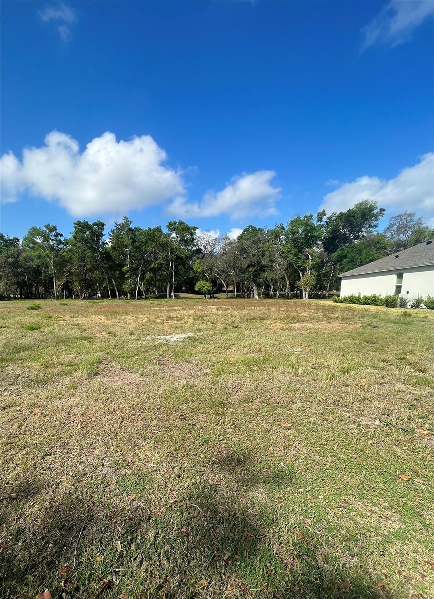 3138 SILVERMINES AVE, ORMOND BEACH, FL, 32174