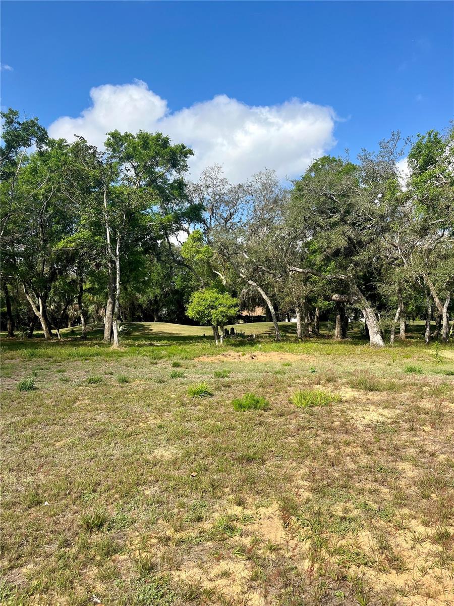 3138 SILVERMINES AVE, ORMOND BEACH, FL, 32174