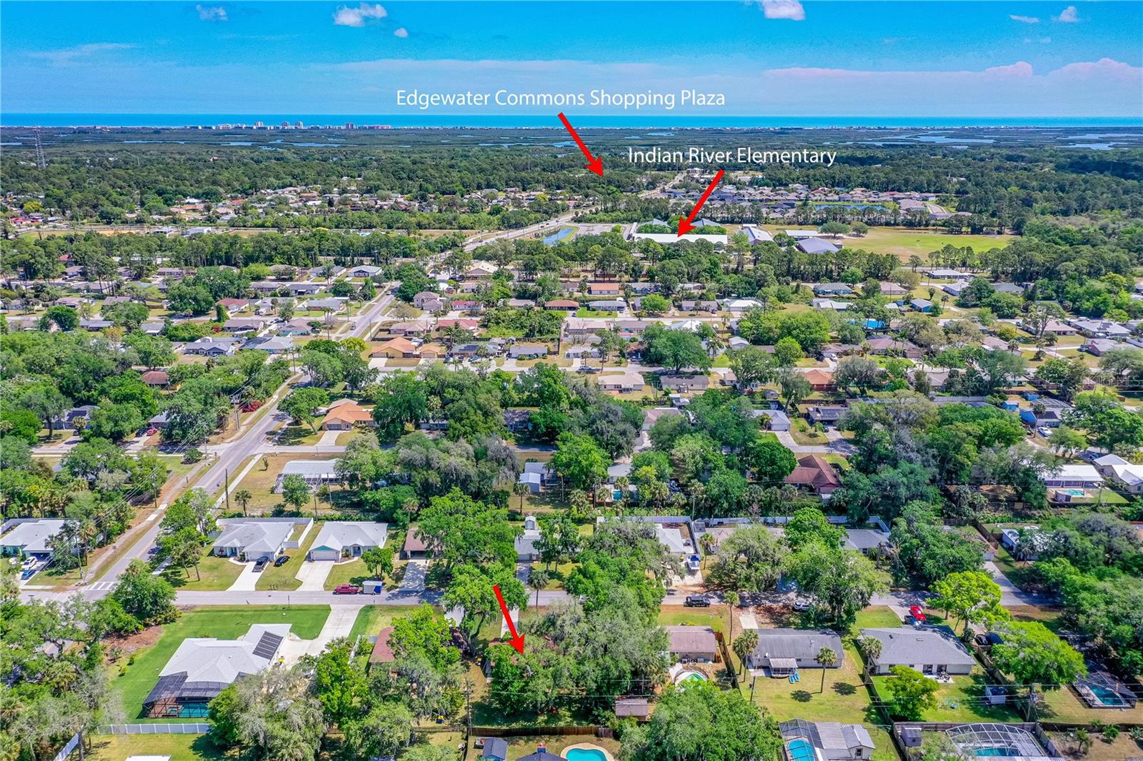 3016 MANGO TREE DR, EDGEWATER, FL, 32141