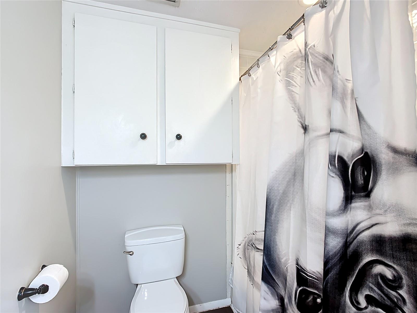 2800 SW 141ST CT, OCALA, FL, 34481