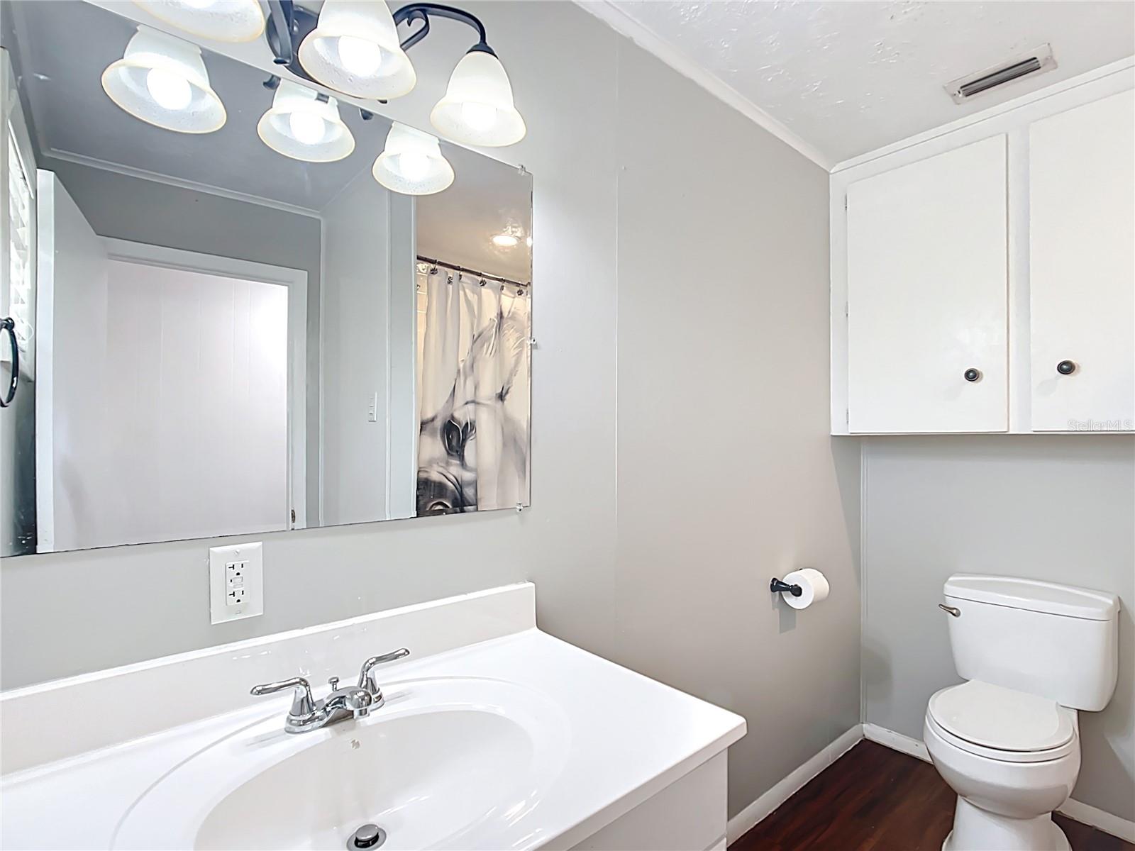 2800 SW 141ST CT, OCALA, FL, 34481