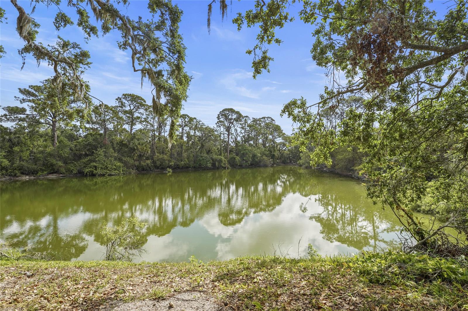 3401 KINGSWOOD DR, SARASOTA, FL, 34232