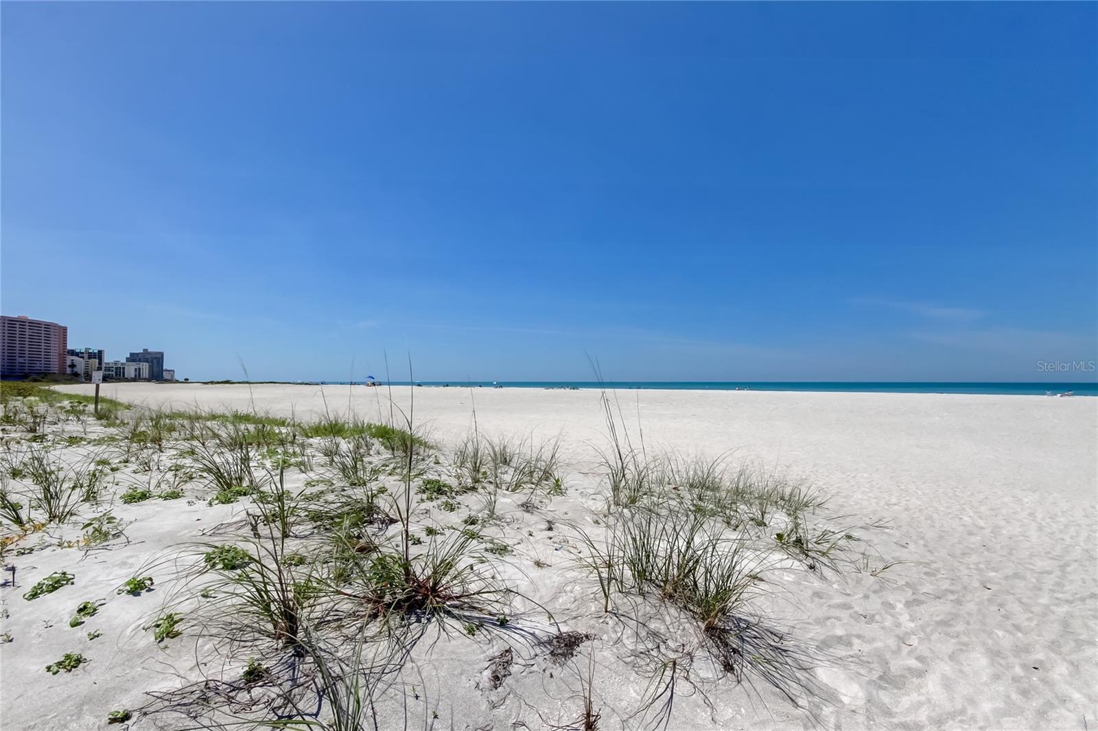 1200 GULF BLVD #101, CLEARWATER BEACH, FL, 33767
