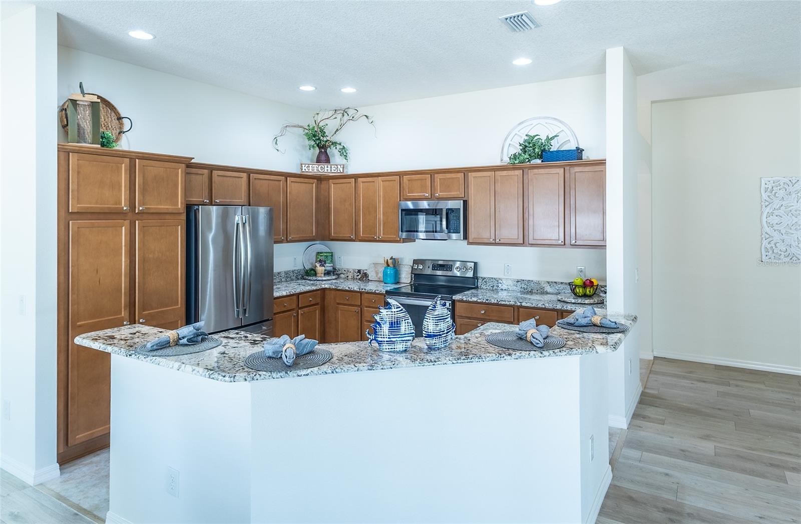 1954 LADYFISH AVE, THE VILLAGES, FL, 32162