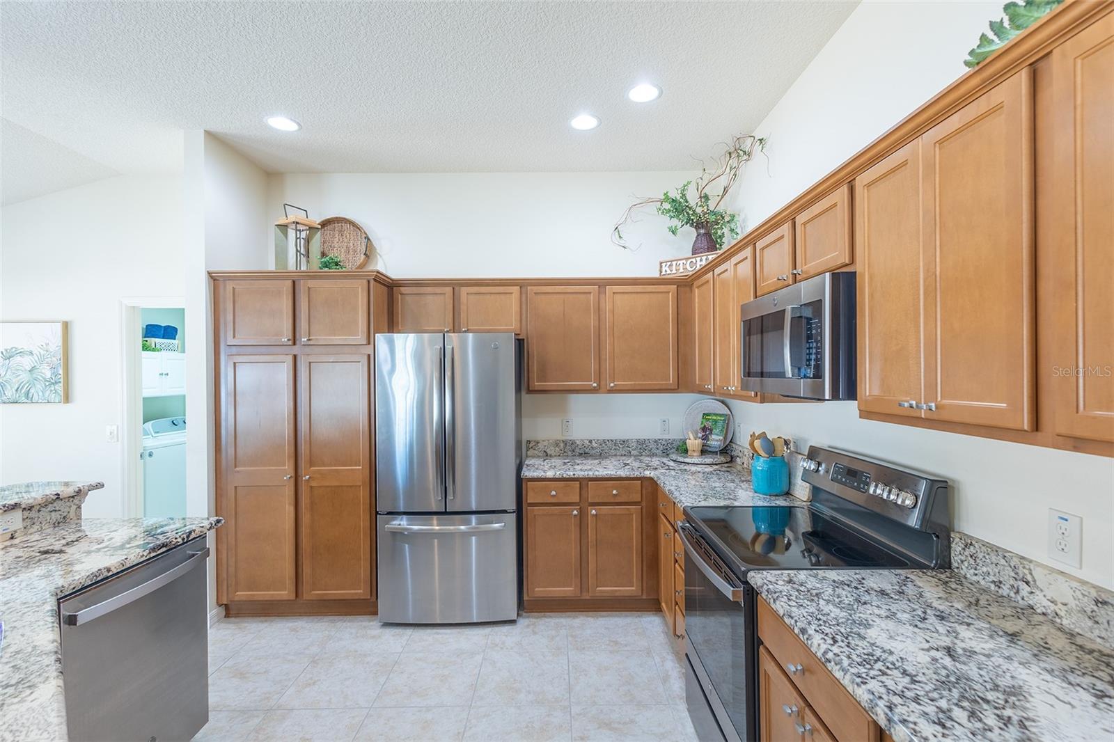 1954 LADYFISH AVE, THE VILLAGES, FL, 32162