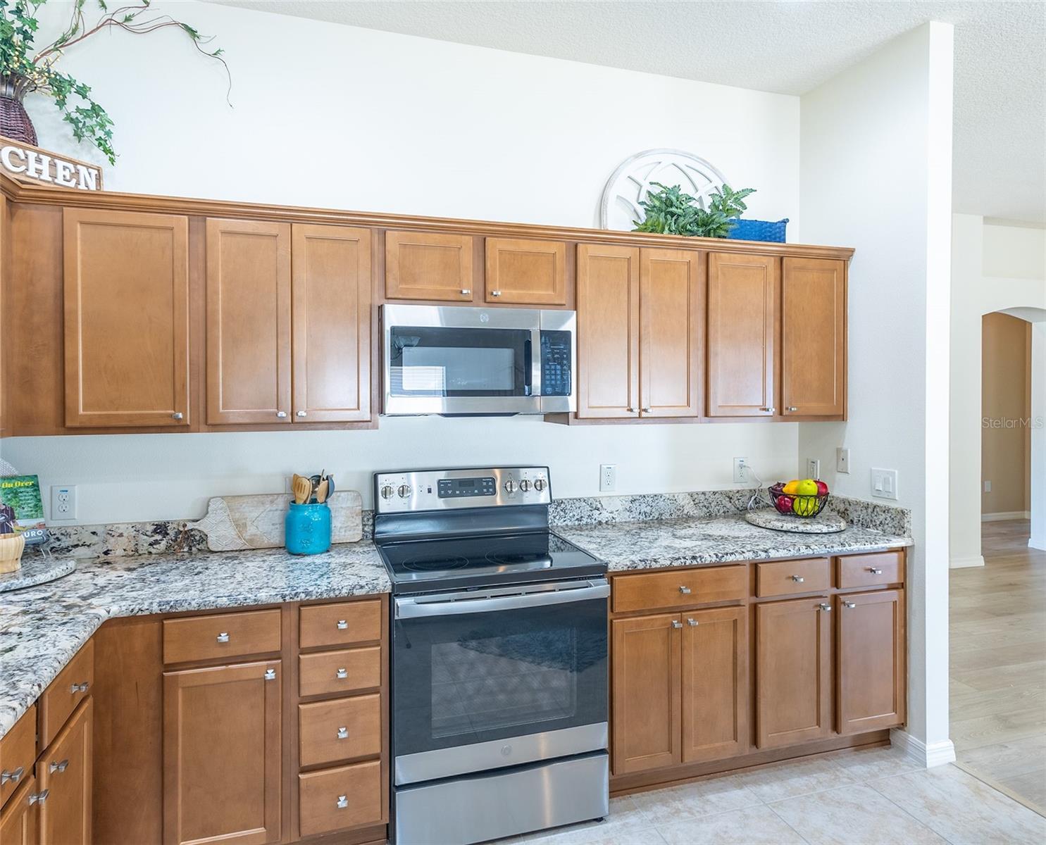 1954 LADYFISH AVE, THE VILLAGES, FL, 32162