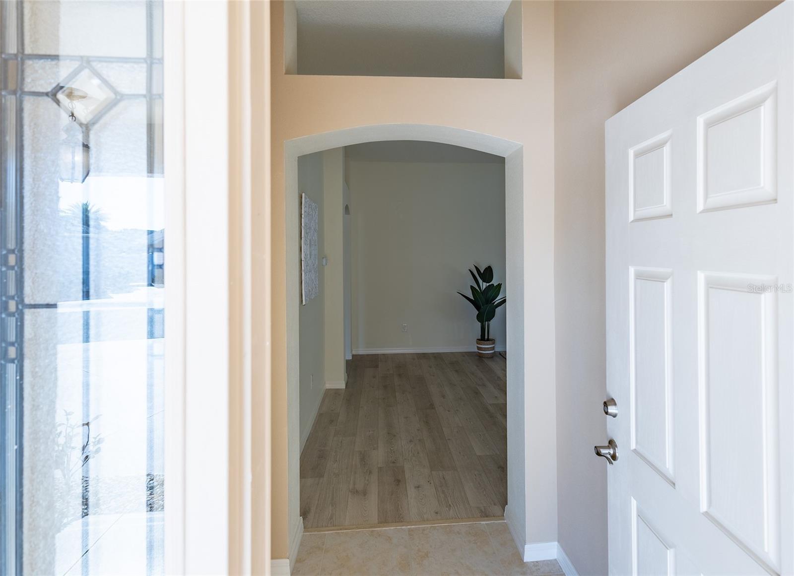 1954 LADYFISH AVE, THE VILLAGES, FL, 32162