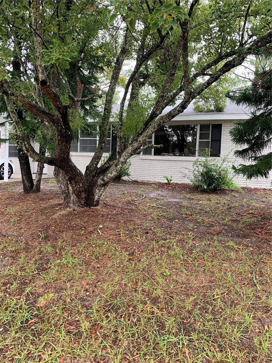 213 GRANDE VISTA ST, DEBARY, FL, 32713